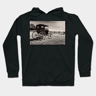 Old Horse Buggy 3 Hoodie